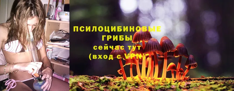 Галлюциногенные грибы Magic Shrooms  Бронницы 